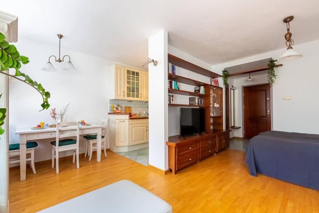 Апартаменти Cozy, Bright, Comfy Studio Next To The Old Town. Варшава Екстер'єр фото