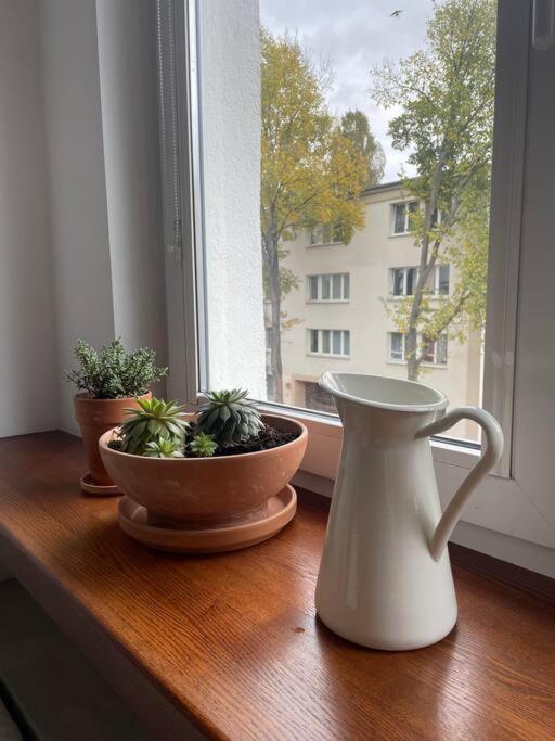 Апартаменти Cozy, Bright, Comfy Studio Next To The Old Town. Варшава Екстер'єр фото